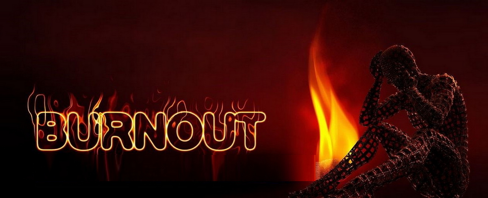 MSP Trainerakademie Deutschland